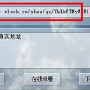 网页视频解析下载工具v1.0.0.1